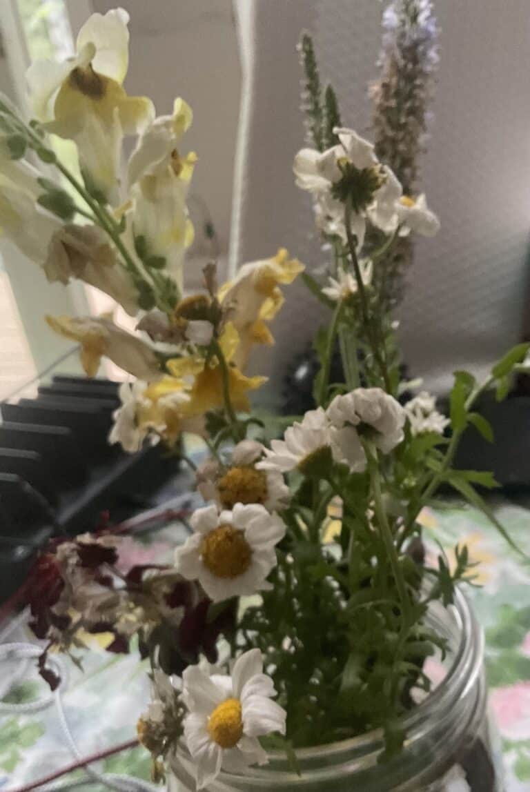 IMG_0895.jpeg dying flowers
