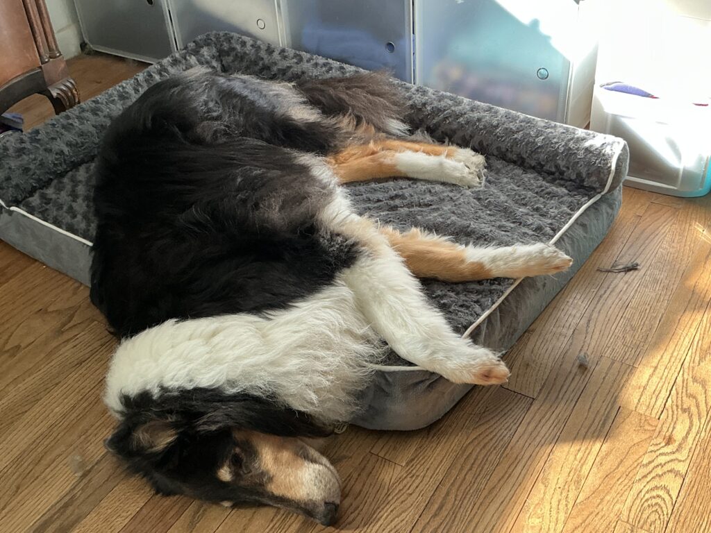 Banner hanging over Willow's smaller bed