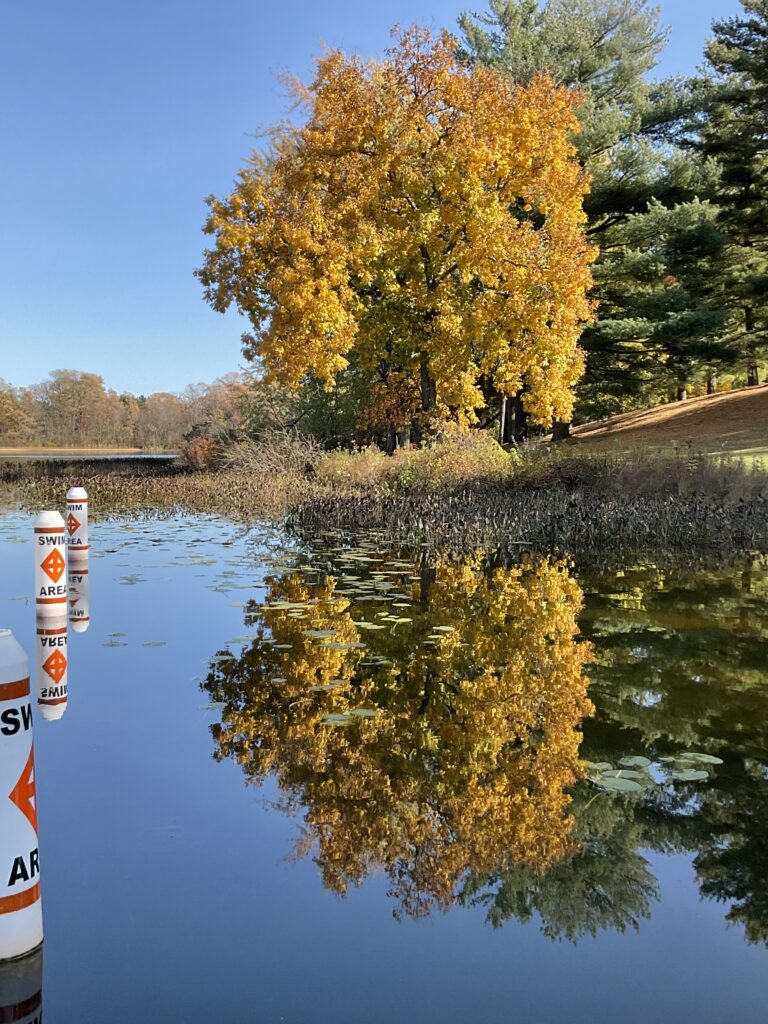 Fall trees and pond - 2