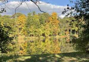 Fall trees and pond