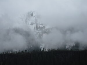 Misty Flord, Alaska-2008