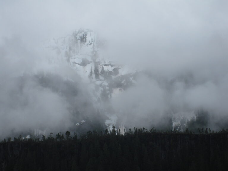 Misty Flord, Alaska-2008