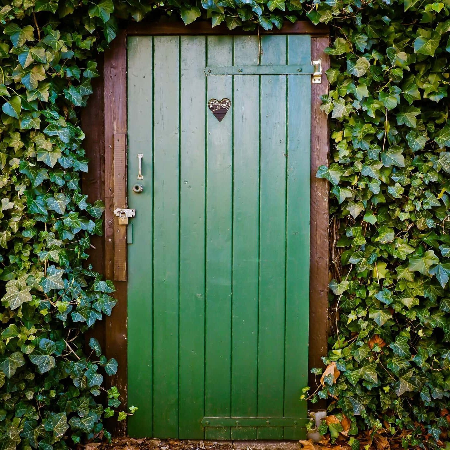 door-heart