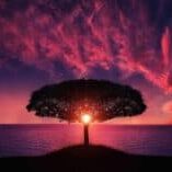 sunset-tree-red-ocean-sky-7w-1200x628-1-1024x536