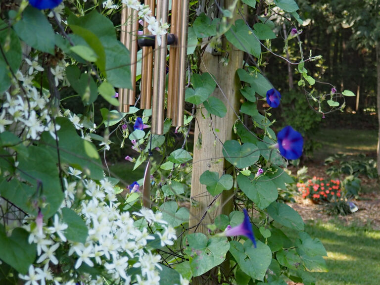 landscape-flowers.250911